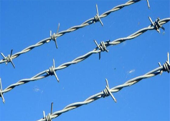 Hot Dip Galvanized Concertina Cbt High Strength 65 Razor Wire
