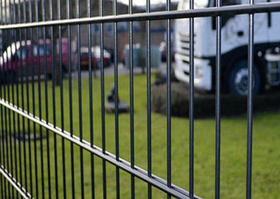Ornamental 1m Height Double Loop Wire Fence Metal Welded Mesh Gardens 8/6/8mm