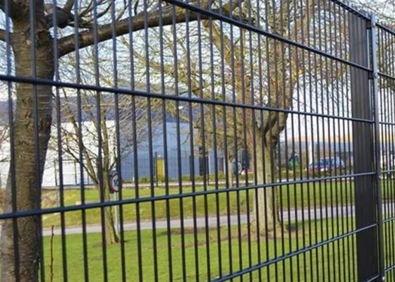 High Strength Q235 Galvanized Double Loop Fencing PVC Coated  868 Mesh Fencing