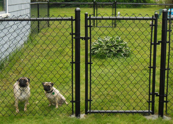 50*50mm-80*80mm Temporary Mesh Fencing Cyclone