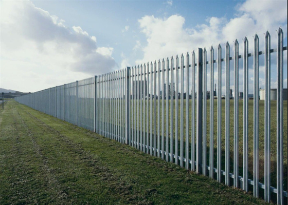 Europe Powder Coated / Galvanized Steel Palisade Fencing W / D Type