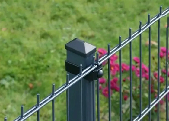 Powder Coated Green Color Double Rod Mat Fences For Garden 1.8*3m