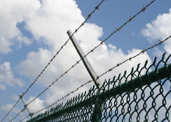 Hot Dipped Galvanized Barbed Wire Weatherproof Livestock Security Fencing