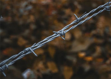 Yard Protection Galvanized Steel Barbed Wire 15mm 14*16 Gauge