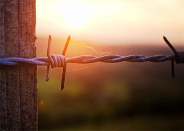 Yard Protection Galvanized Steel Barbed Wire 15mm 14*16 Gauge