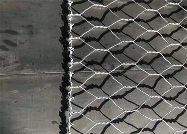 Low Carbon Wire 2.4mm 80x100mm Gabion Wire Mesh For River Bank