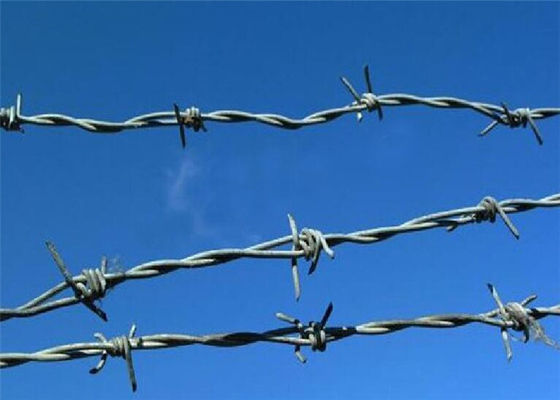 1.6mm HDG Reverse Twist Steel Barbed Wire Border ety Protection