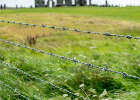 Crossed Wire Fence 16 Gauge Galvanized Barbed Wire