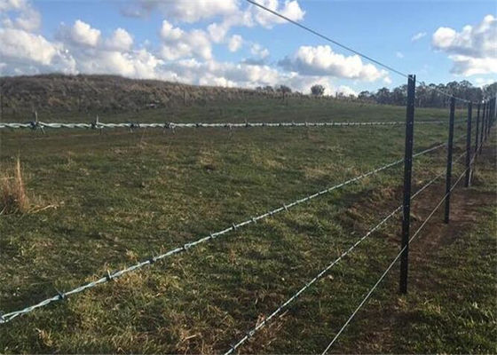 1.6mm HDG Reverse Twist Steel Barbed Wire Border ety Protection