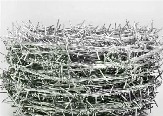 Military Double Twist Steel Barbed Wire 12X14 Gauge 25kg/Roll