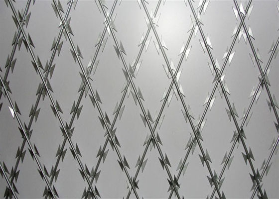 Ss 304 Hot Dip Galvanized Razor Sharp Barbed Wire Cbt-65 33 Loops Security