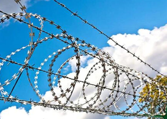 Powder Coated 900mm Coil Diameter Razor Barbed Wire For Prison / Airport