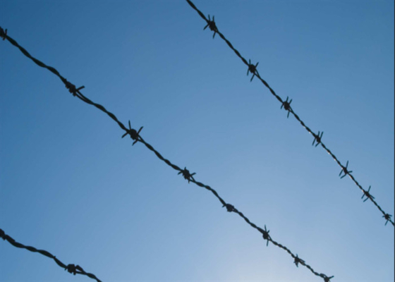 Double Strand Metal Barbed Wire 14*14 Gauge Electro / Hot Dipped Galvanized