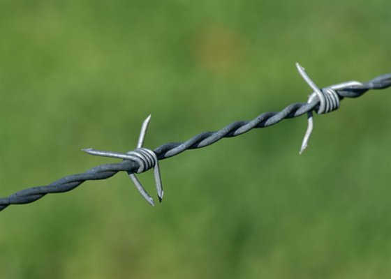 Double Strand Metal Barbed Wire 14*14 Gauge Electro / Hot Dipped Galvanized