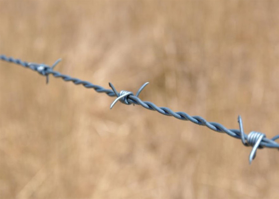 Hot Dip Galvanized Double Twist Barbed Wire 14 Gauge For Private Area
