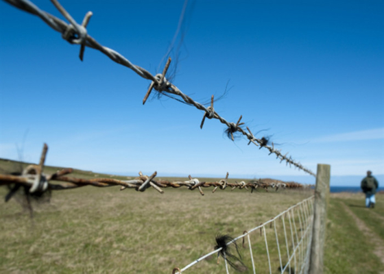 Double Twist 25kg Roll Steel Barbed Wire 2.0mm Fully Galvanised Security Protection