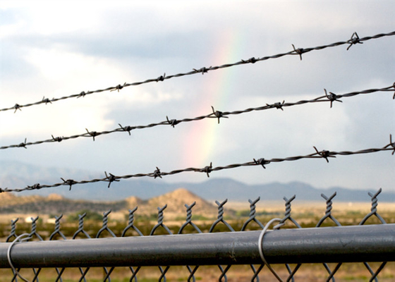Bwg 12 X 14 Hot Dip Galvanized Barbed Wire Double Strand Military Protection