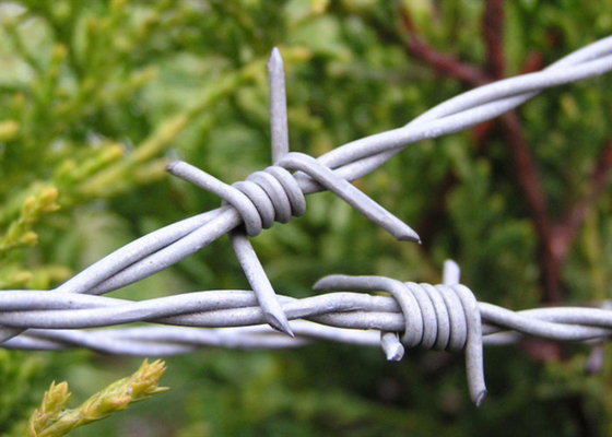 Electro Galvanized Steel Barbed Wire ety 16 X 14 Gauge 25kg / Roll For Military